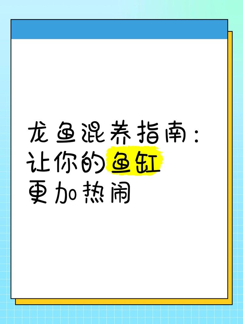 龍魚和藍(lán)鯊混養(yǎng)需要哪些過濾器（魚和藍(lán)鯊混養(yǎng)需要使用合適的過濾器來確保水質(zhì)清潔與穩(wěn)定） 龍魚和藍(lán)鯊混養(yǎng)需要哪些過濾器（魚和藍(lán)鯊混養(yǎng)需要使用合適的過濾器來確保水質(zhì)清潔與穩(wěn)定） 龍魚百科 第4張