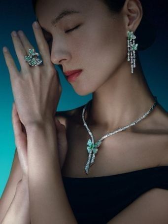 金海王麒麟系列有哪些新品