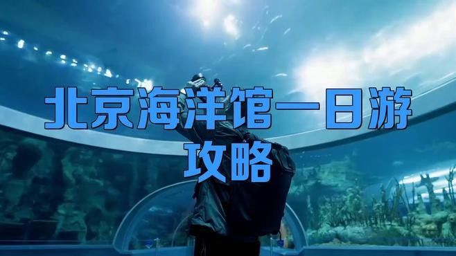 道里區還有哪些水族館（哈爾濱市道里區有哪些水族館？） 道里區還有哪些水族館（哈爾濱市道里區有哪些水族館？） 龍魚百科 第2張