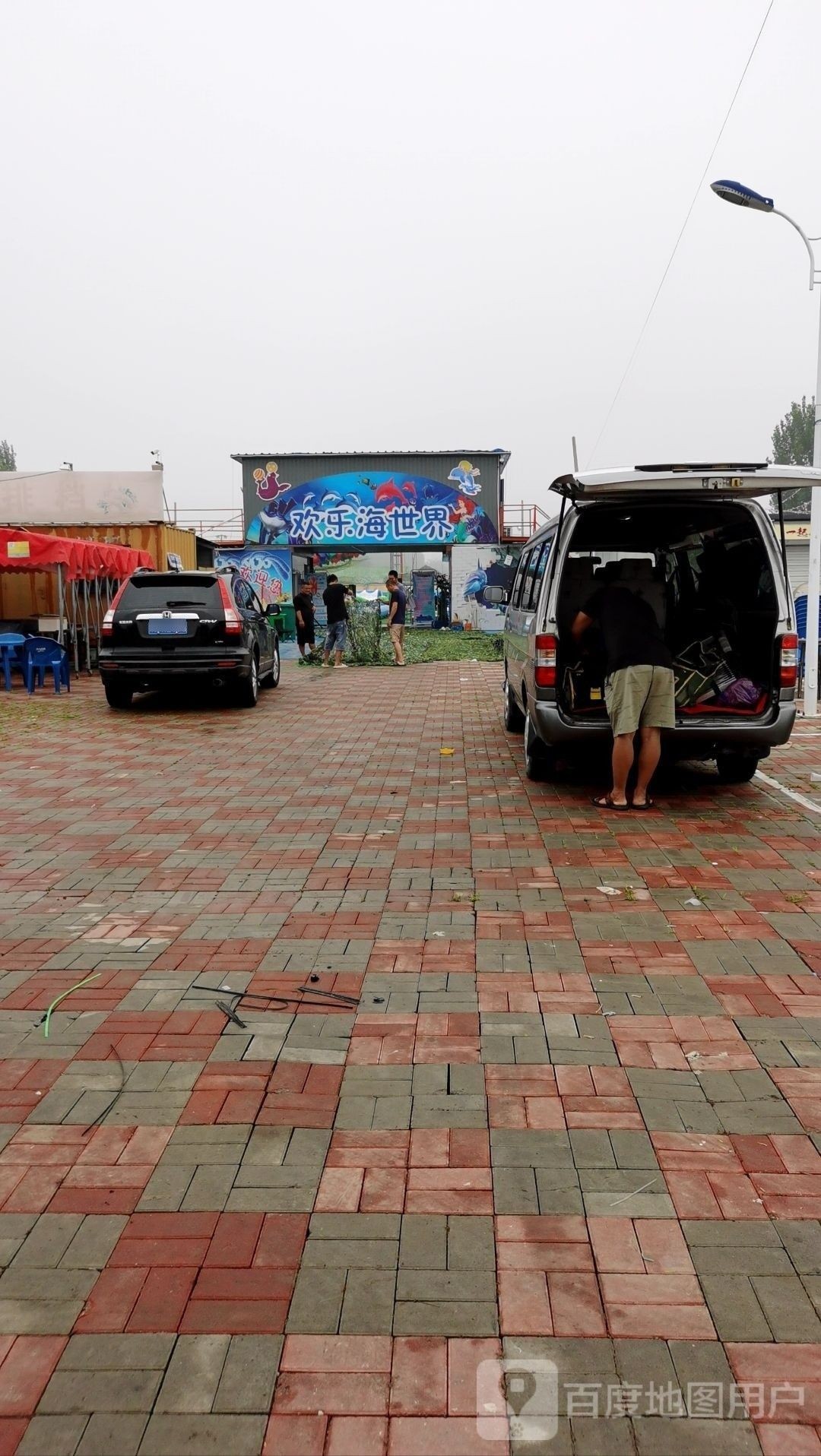 寶坻哪個水族館龍魚好？祥龍魚場龍魚（天津市寶坻區“祥龍魚場”）