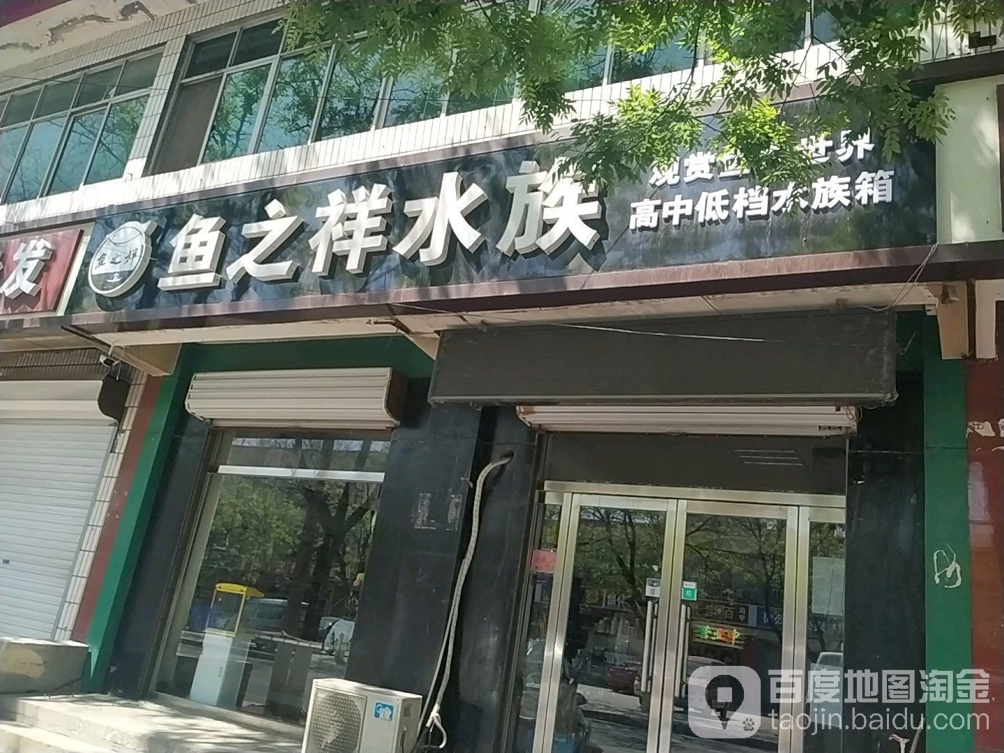 寶坻哪個水族館龍魚好？祥龍魚場龍魚（天津市寶坻區“祥龍魚場”）