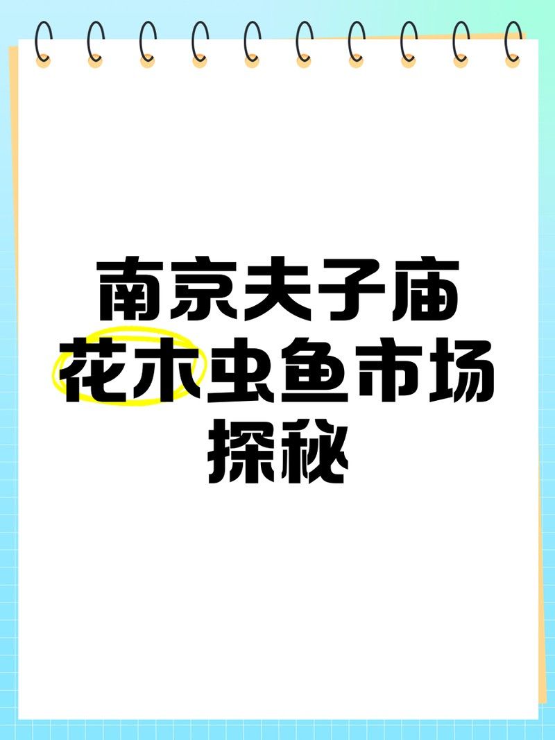成年過(guò)背金龍的價(jià)格是多少，成年過(guò)背金龍魚(yú)的價(jià)格是多少 成年過(guò)背金龍的價(jià)格是多少，成年過(guò)背金龍魚(yú)的價(jià)格是多少 龍魚(yú)百科 第2張