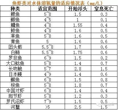 龍魚浮水面不動多久會死（龍魚浮水面不動會自愈嗎，）