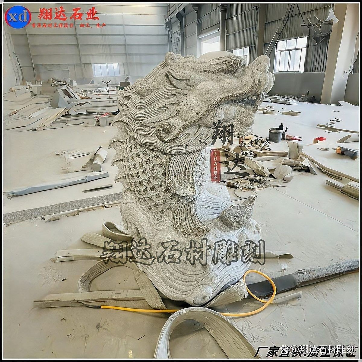 開封龍魚事件是否涉及違法（20-30公分龍魚飼養技巧與注意事項與注意事項）