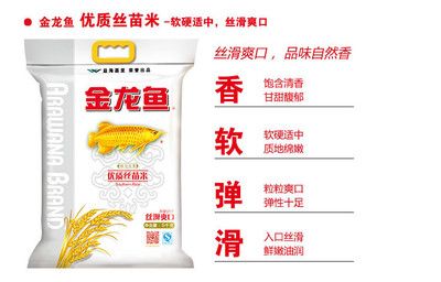 網上買龍魚好還是實體店好一點呢（網上買龍魚好還是實體店好一點呢視頻）（網上買龍魚好還是實體店好）
