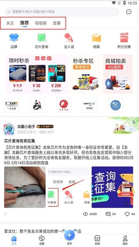 龍巔觀賞魚APP如何加入圈子？（如何加入龍巔觀賞魚app圈子）