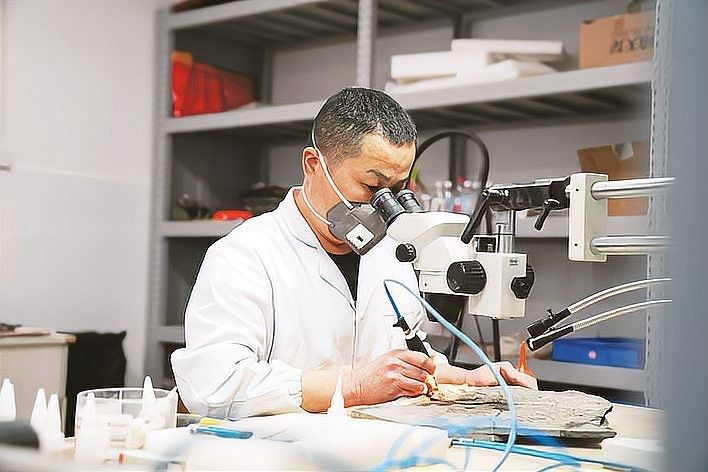 如何判斷魚龍化石的圍巖是否自然（如何判斷魚龍化石的圍巖是否自然形成？）