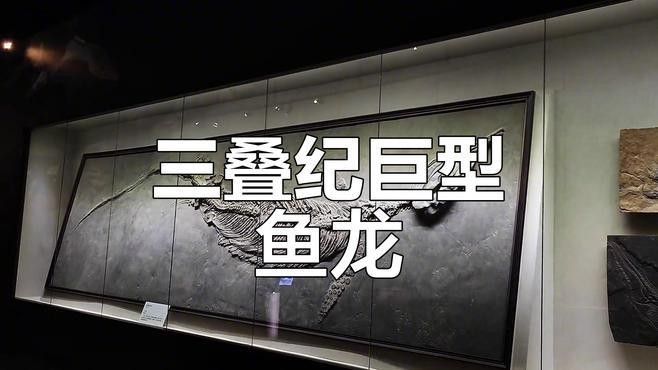 如何判斷魚龍化石的圍巖是否自然（如何判斷魚龍化石的圍巖是否自然形成？）