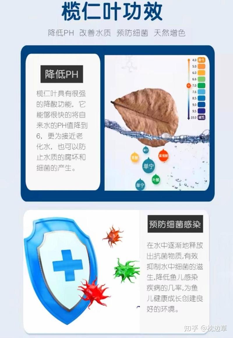如何設置古典金龍魚缸的pH值？（古典金龍魚缸ph值是確保水族箱內水質健康的關鍵步驟）