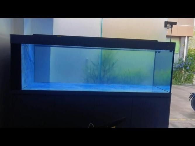 6700K和13000K哪個更適合養(yǎng)魚？（6700k和13000k哪個更適合養(yǎng)魚）
