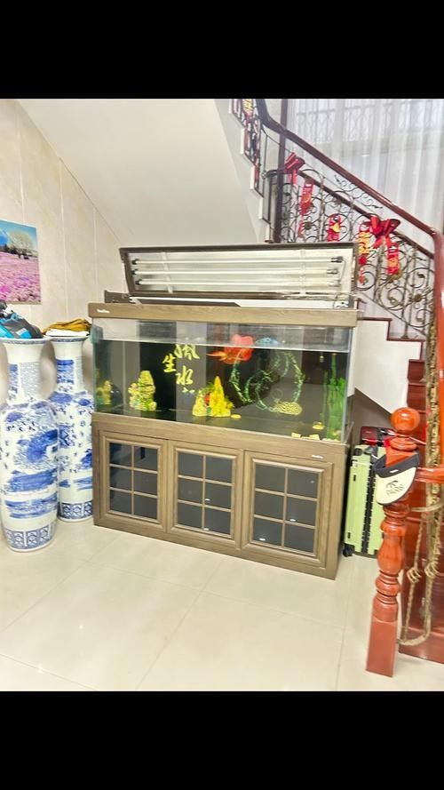 6700K和13000K哪個更適合養(yǎng)魚？（6700k和13000k哪個更適合養(yǎng)魚）