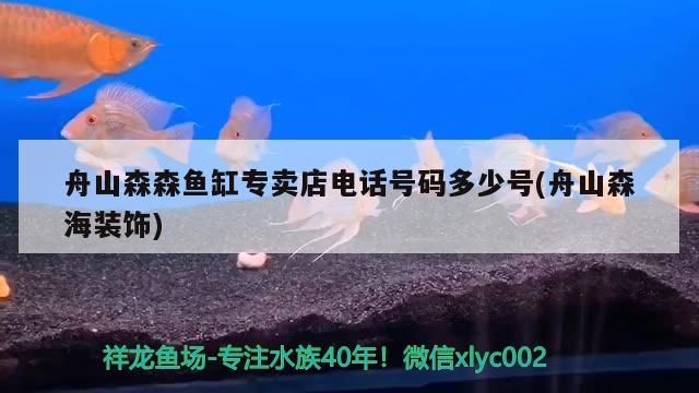 <strong><mark>舟山</mark></strong>森森魚缸專賣店電話號碼多少號(<strong><mark>舟山</mark></strong>森海裝飾)（森森魚缸專賣店）