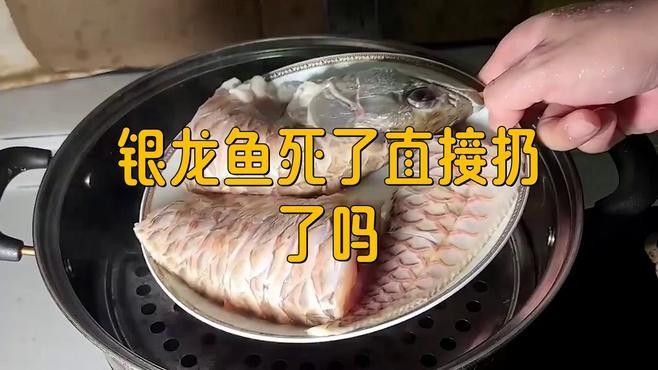 如何處理觀賞龍魚的尸體（魚缸里的魚死了怎么處理魚缸里的魚死了怎么處理）