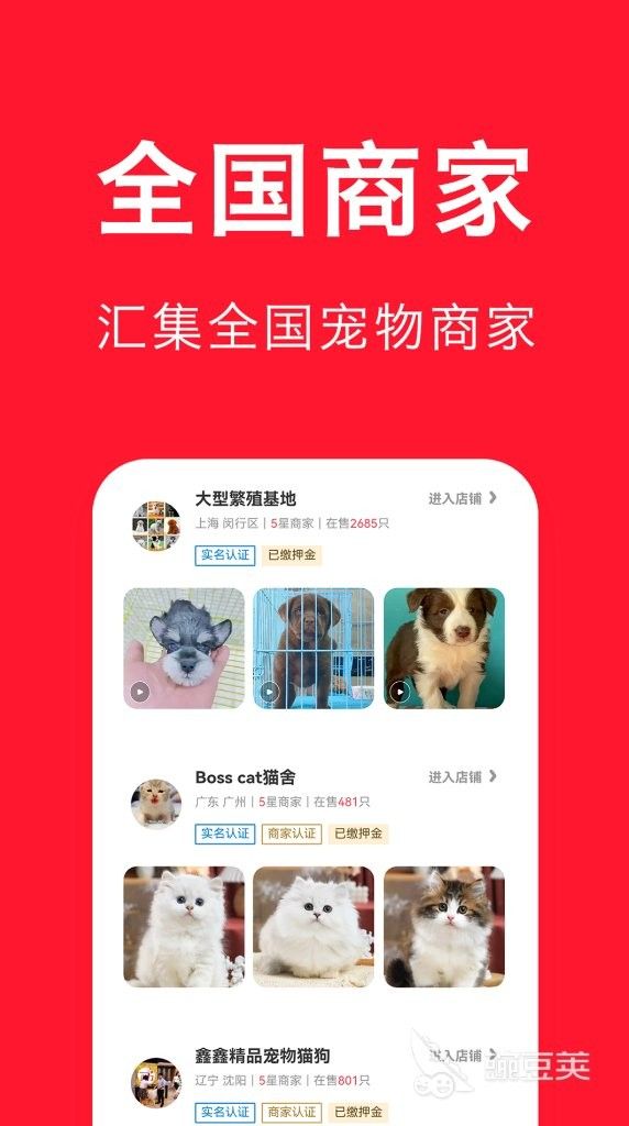 哪個(gè)平臺(tái)的龍魚價(jià)格更透明？（淘寶、京東、拼多多龍魚價(jià)格對(duì)比分析）