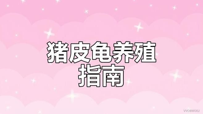 金龍魚和豬鼻龜混養需要多大的電源？（金龍魚和豬鼻龜混養的電源需求取決于多個因素）