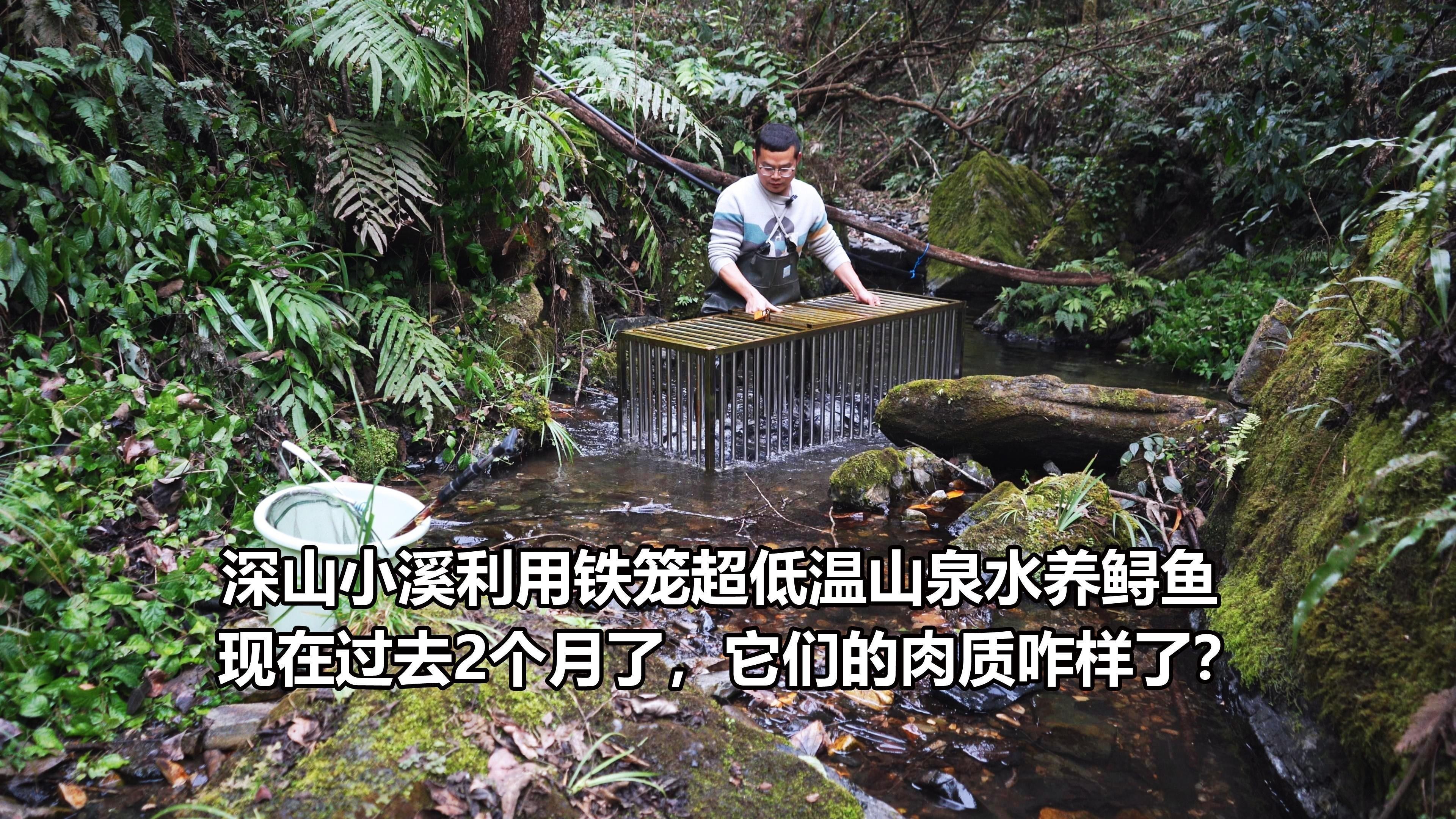 鱘龍魚養殖技術有哪些？（關于鱘龍魚養殖技術的概述：鱘龍魚養殖技術的概述）