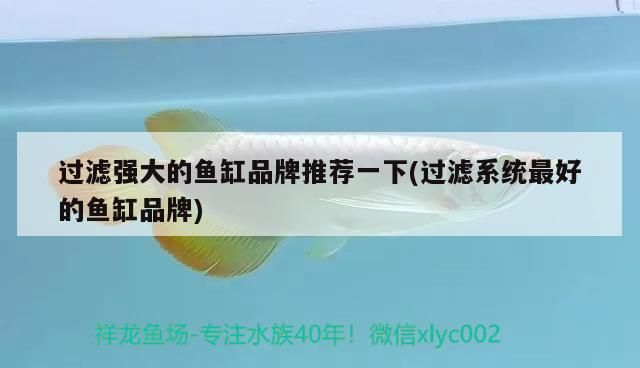 過(guò)濾強(qiáng)大的魚缸品牌推薦一下(過(guò)濾系統(tǒng)最好的魚缸品牌)（什么品牌子的魚缸好？）