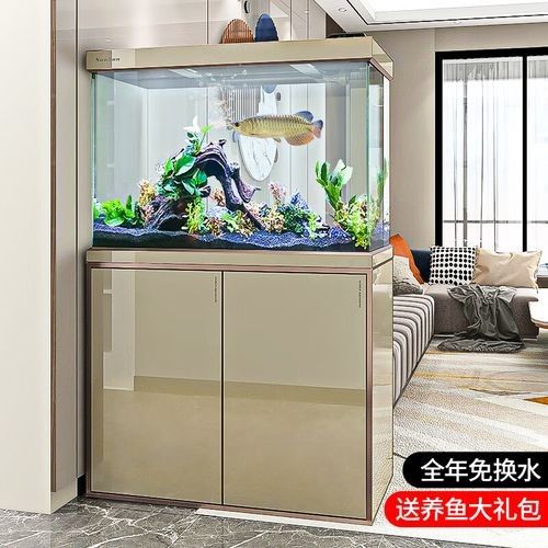 有沒有其他大型魚缸推薦？（京東大型水族魚缸品牌排行榜京東大型水族魚缸品牌排行榜）