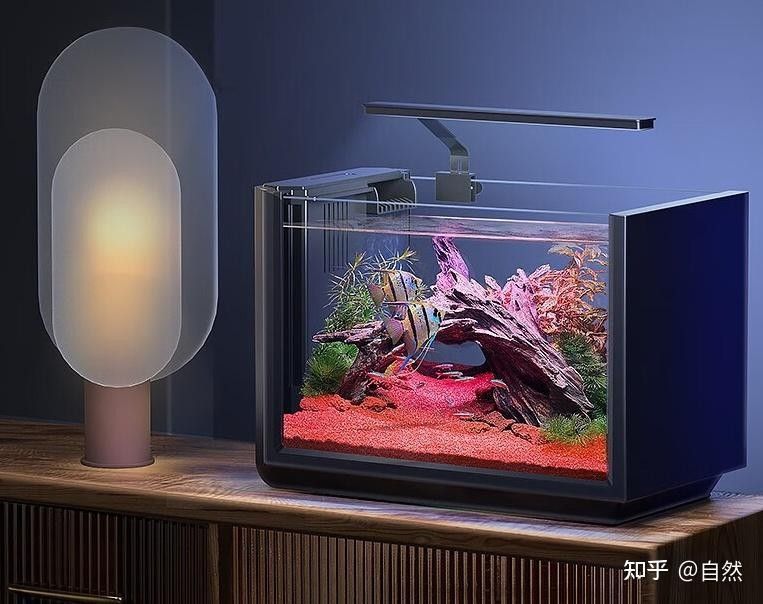 有沒有其他大型魚缸推薦？（京東大型水族魚缸品牌排行榜京東大型水族魚缸品牌排行榜）