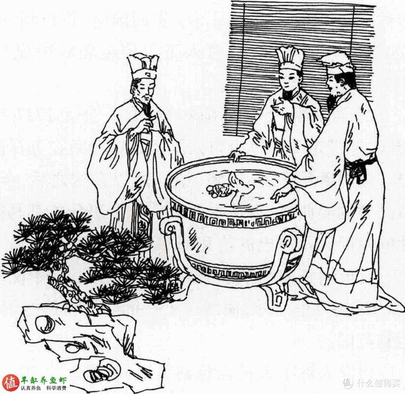 火龍魚打氧需要多久一次（火龍魚打氧的頻率）