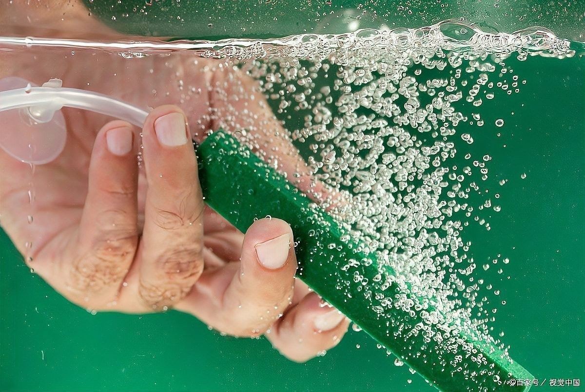 火龍魚打氧需要多久一次（火龍魚打氧的頻率）