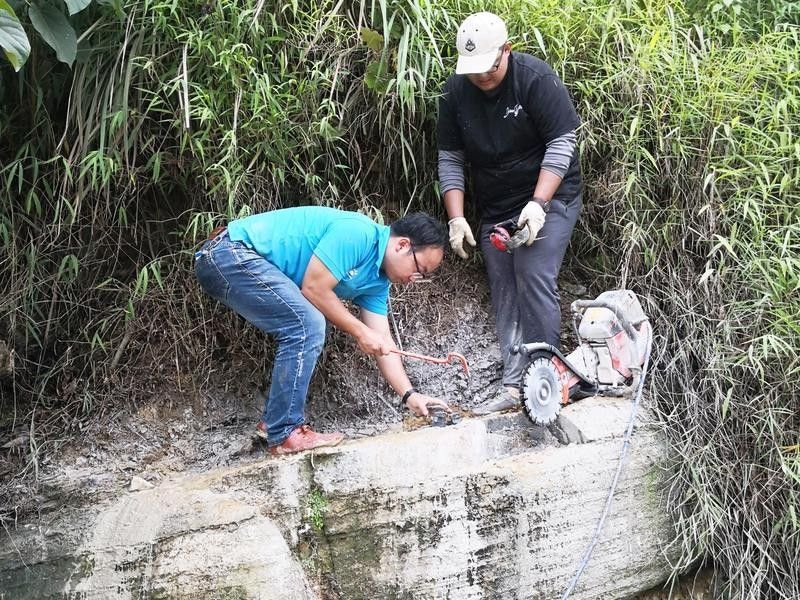 粗壯百色魚龍有何研究價值（中國最大早三疊世魚龍——百色魚龍）