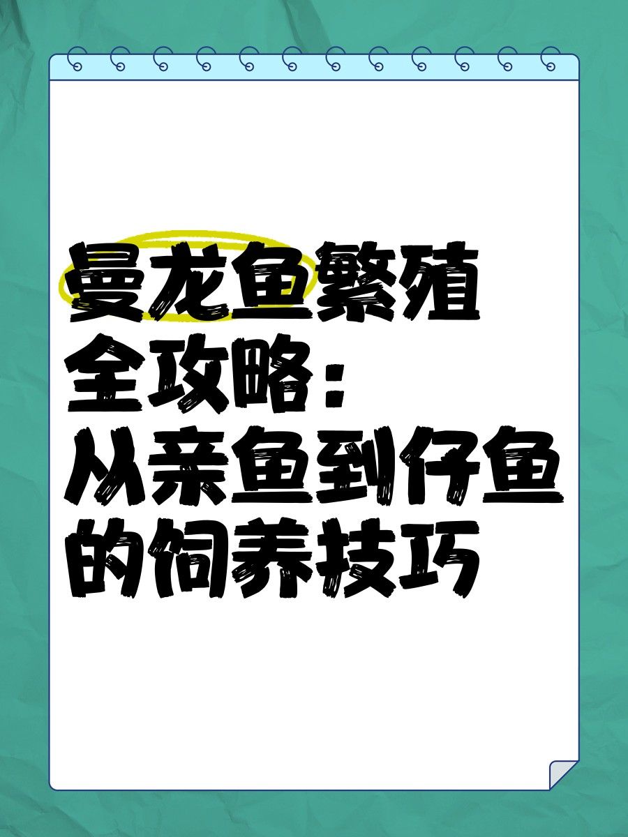 曼龍魚繁殖周期是多久？（曼龍魚怎么繁殖） 曼龍魚繁殖周期是多久？（曼龍魚怎么繁殖） 龍魚百科 第4張