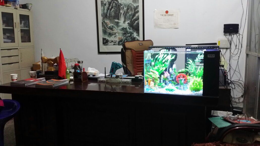 龍魚干蝦有營養嗎 鷹潭龍魚批發市場(鷹潭龍魚批發市場在哪里) 觀賞魚百科 鷹潭龍魚批發市場(鷹潭龍魚批發市場在哪里) 鷹潭龍魚批發市場(鷹潭龍魚批發市場在哪里) 觀賞魚百科