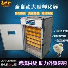人工干預孵化需要哪些設備？（人工干預孵化所需設備） 人工干預孵化需要哪些設備？（人工干預孵化所需設備） 龍魚百科 第4張