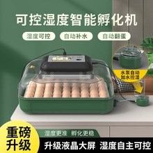 人工干預孵化需要哪些設備？（人工干預孵化所需設備） 人工干預孵化需要哪些設備？（人工干預孵化所需設備） 龍魚百科 第3張