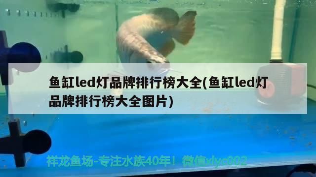 魚缸led燈品牌排行榜大全(魚缸led燈品牌排行榜大全圖片)（魚缸led燈品牌排行榜）