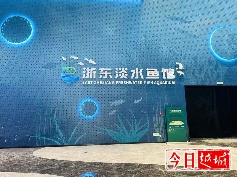 越城哪個水族館龍魚好？祥龍魚場龍魚（廣州龍魚祥龍魚場今日開放，紹興人的水族館即將亮相） 越城哪個水族館龍魚好？祥龍魚場龍魚（廣州龍魚祥龍魚場今日開放，紹興人的水族館即將亮相） 龍魚百科 第8張