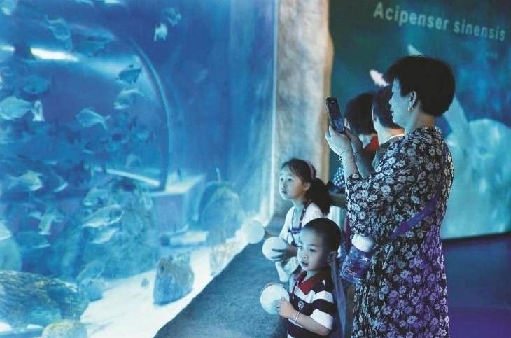 越城哪個水族館龍魚好？祥龍魚場龍魚（廣州龍魚祥龍魚場今日開放，紹興人的水族館即將亮相） 越城哪個水族館龍魚好？祥龍魚場龍魚（廣州龍魚祥龍魚場今日開放，紹興人的水族館即將亮相） 龍魚百科 第11張
