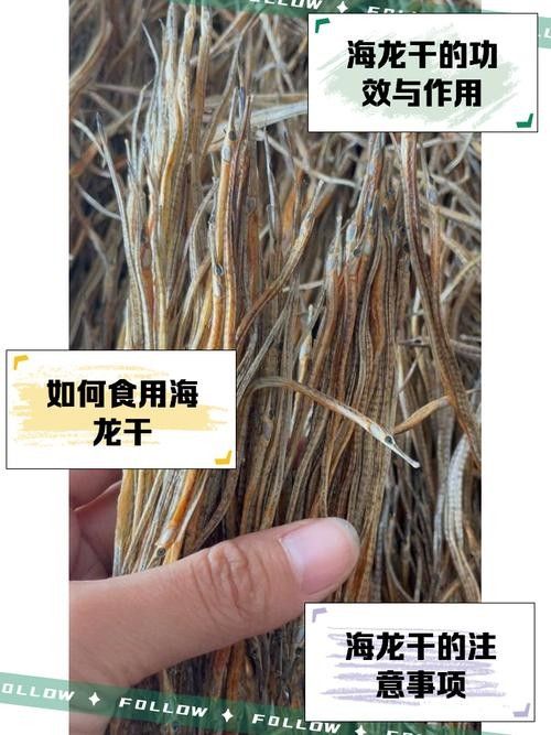 如何判斷海龍魚干的質(zhì)量（如何判斷海龍魚干的質(zhì)量需綜合外觀、氣味、干燥度及形態(tài)因素）