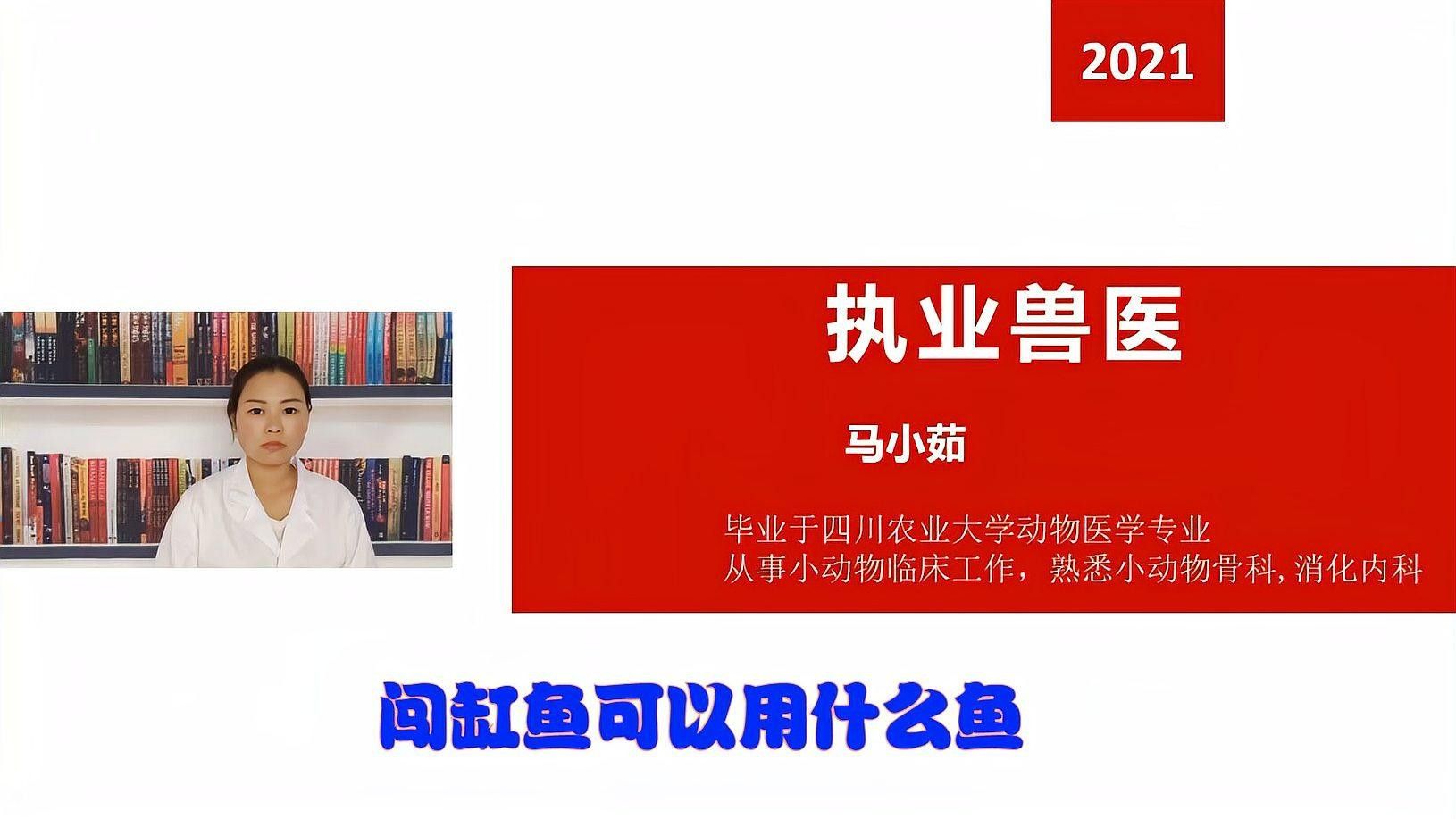 闖缸魚選擇什么品種好