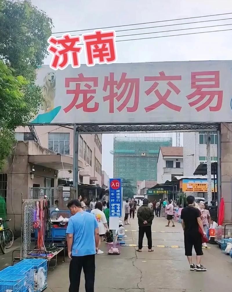 如何聯系濟南龍魚批發市場的商家