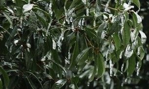 桂林象山哪個(gè)水族館龍魚好？祥龍魚場龍魚（廣州龍魚祥龍魚場，桂林海洋世界馬蜂窩聽自駕游攻略）