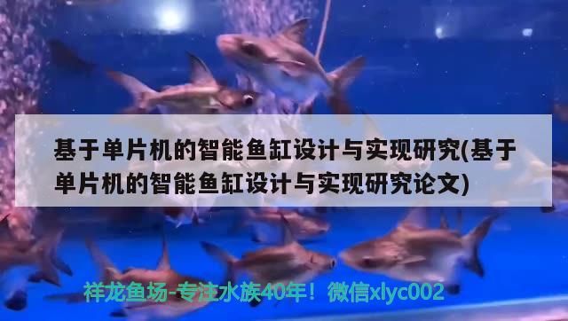 基于單片機(jī)的智能魚缸設(shè)計(jì)與實(shí)現(xiàn)研究(基于單片機(jī)的智能魚缸設(shè)計(jì)與實(shí)現(xiàn)研究論文)