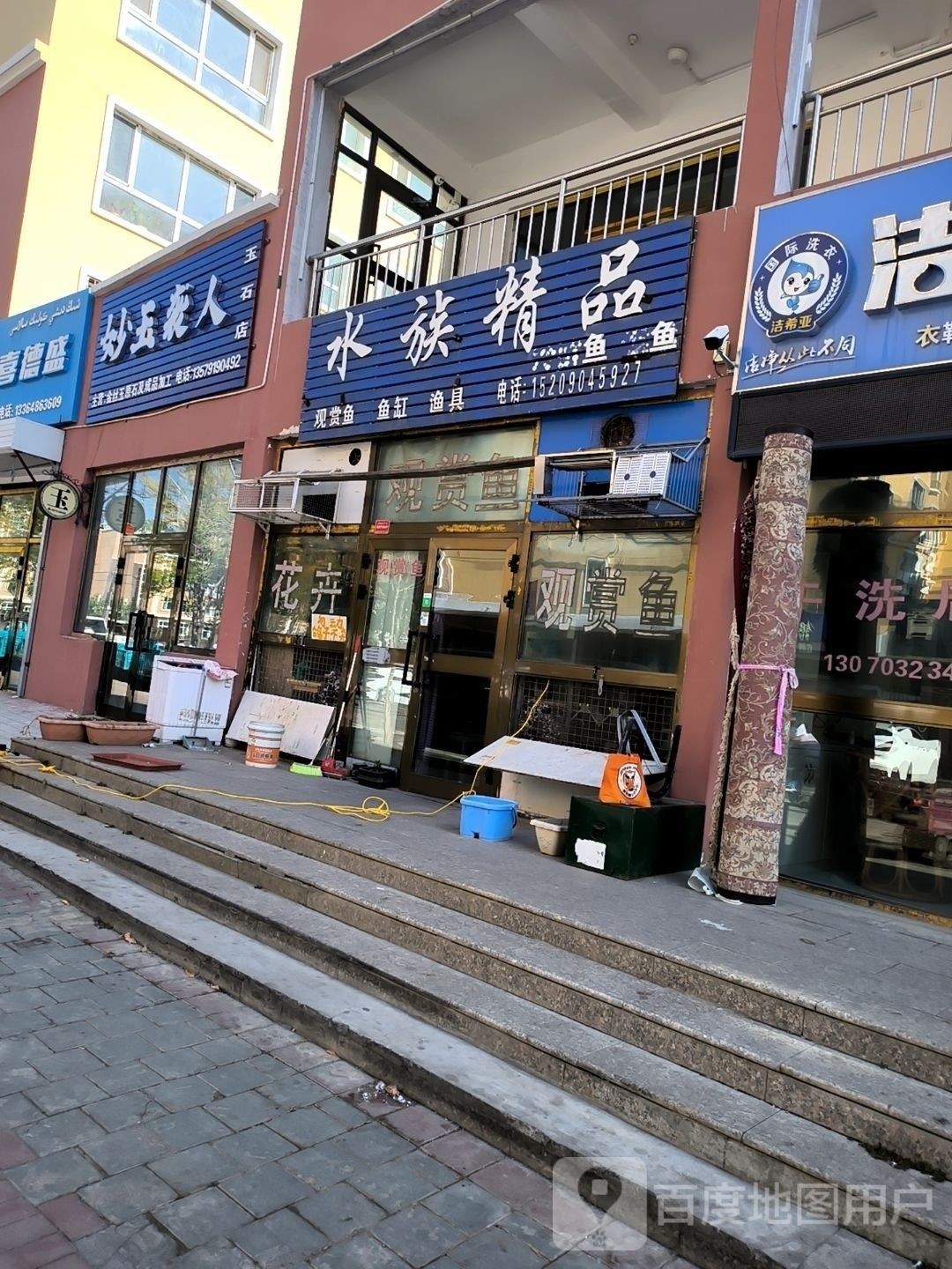 青河哪個水族館龍魚好？祥龍魚場龍魚