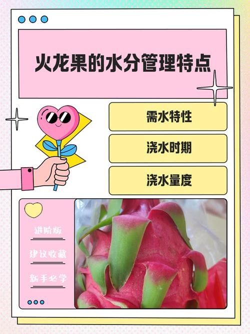 如何判斷火龍果的質量（別再瞎買火龍果了老果農的5個挑選訣竅）