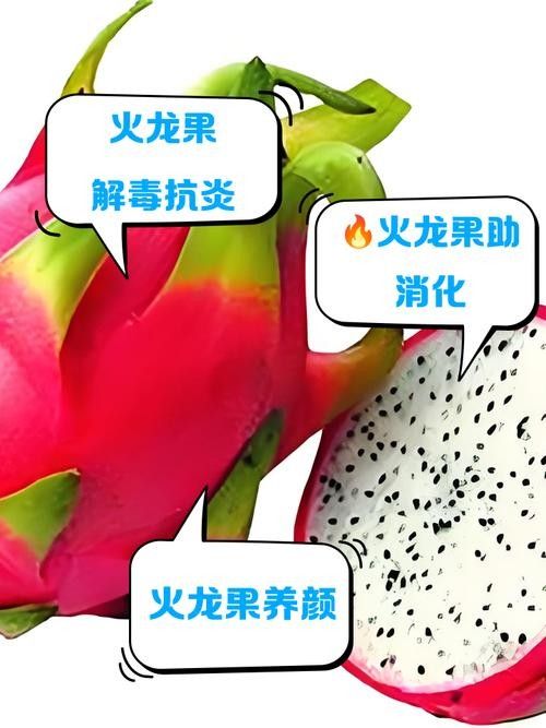 如何判斷火龍果的質量（別再瞎買火龍果了老果農的5個挑選訣竅）