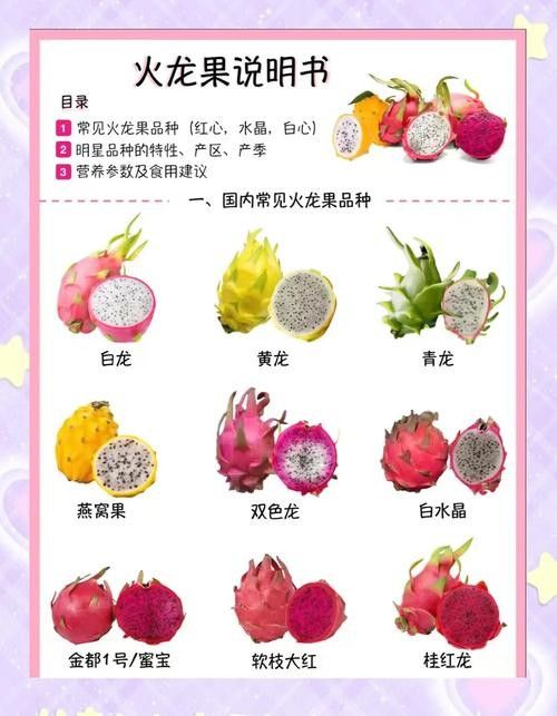 如何判斷火龍果的質量（別再瞎買火龍果了老果農的5個挑選訣竅）