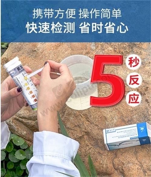 哪些品牌魚缸氨氮試劑盒好(挑選魚缸氨氮試劑盒水質(zhì)檢測試劑盒品牌推薦及特點分析) 龍魚百科 第3張 哪些品牌魚缸氨氮試劑盒好(挑選魚缸氨氮試劑盒水質(zhì)檢測試劑盒品牌推薦及特點分析) 哪些品牌魚缸氨氮試劑盒好(挑選魚缸氨氮試劑盒水質(zhì)檢測試劑盒品牌推薦及特點分析) 龍魚百科 第3張