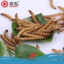 森森大麥蟲飼料的價(jià)格范圍（森森大麥蟲飼料價(jià)格范圍）