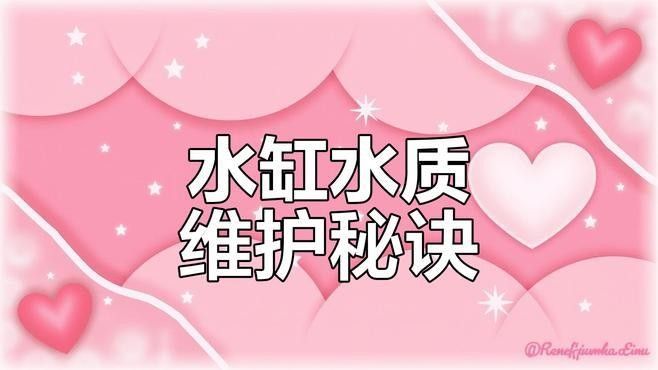 如何保持水質(zhì)清潔（古法養(yǎng)魚(yú)如何保持水體清澈三大技巧教你輕松做到優(yōu)設(shè)交互智庫(kù)） 如何保持水質(zhì)清潔（古法養(yǎng)魚(yú)如何保持水體清澈三大技巧教你輕松做到優(yōu)設(shè)交互智庫(kù)） 龍魚(yú)百科 第6張