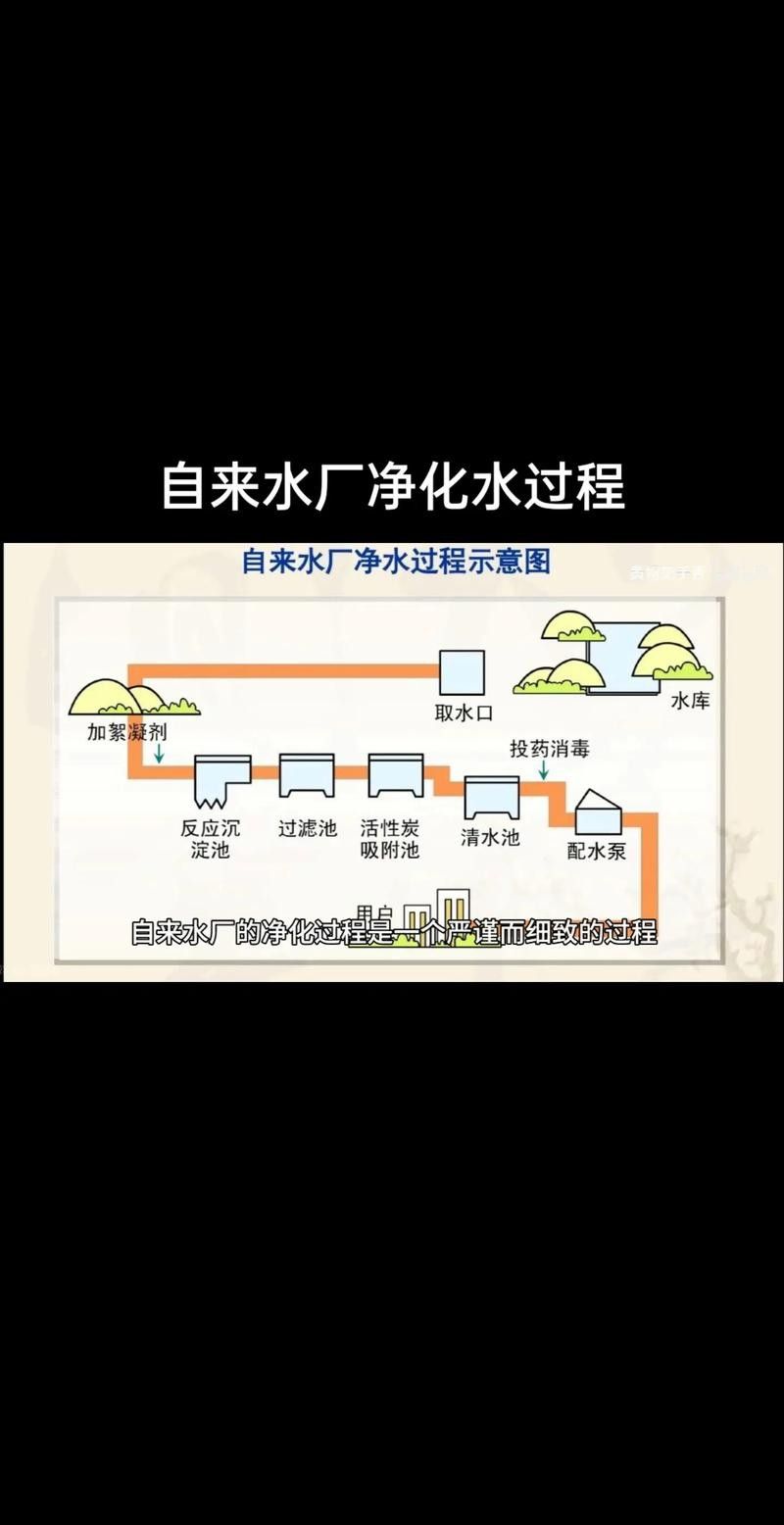 如何保持水質(zhì)清潔（古法養(yǎng)魚(yú)如何保持水體清澈三大技巧教你輕松做到優(yōu)設(shè)交互智庫(kù)） 如何保持水質(zhì)清潔（古法養(yǎng)魚(yú)如何保持水體清澈三大技巧教你輕松做到優(yōu)設(shè)交互智庫(kù)） 龍魚(yú)百科 第3張