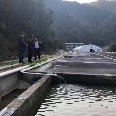 有哪些商戶提供雪龍魚？
