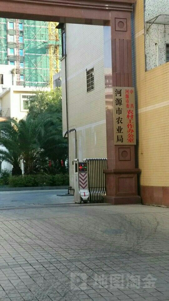 河源市農業部門地址在哪里？ 河源市農業部門地址在哪里？ 龍魚百科 第1張