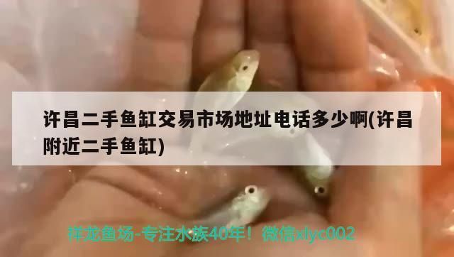 許昌二手魚缸交易市場地址電話多少啊(許昌附近二手魚缸) 觀賞魚百科 第3張 許昌二手魚缸交易市場地址電話多少啊(許昌附近二手魚缸) 許昌二手魚缸交易市場地址電話多少啊(許昌附近二手魚缸) 觀賞魚百科 第3張
