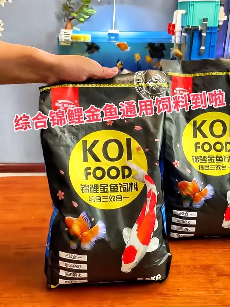 如何確保招財貓魚和龍魚有足夠的食物（招財貓魚吃什么食物最好）